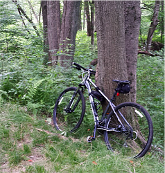 Bike Shops and Epoxy Coating Shops