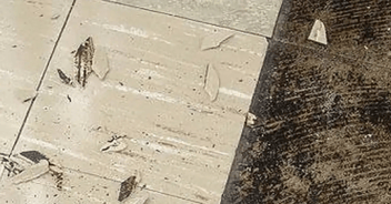 Asbestos in Your Home and What You Can Do