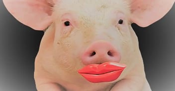 Professional Garage Floor Coatings – Not Just Lipstick on a Pig