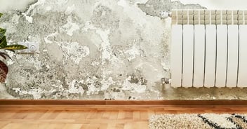 4 Health Hazards in Your Home and How to Protect Yourself