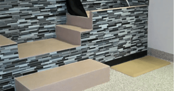 5 Challenges at Maryland’s Stay Pet Resort (Part 2)