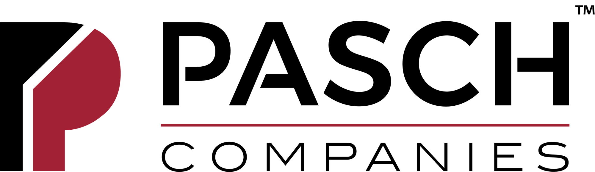 Pasch Companies Home Builder