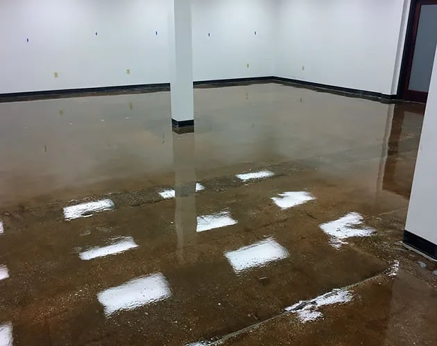 Clear, thin-mil concrete floor coatings by STRONGHOLD FLOORS