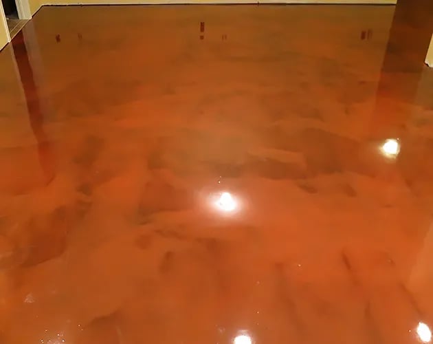 Basement-Starfish-01-630x500-1