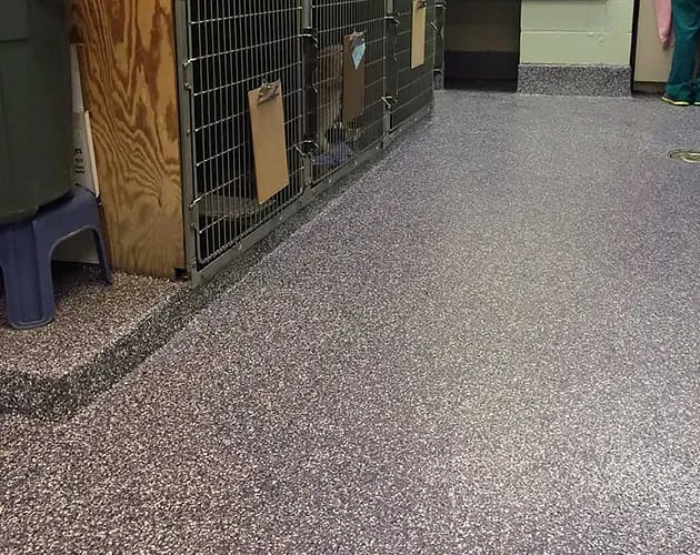 Fort-Hunt-Animal-Hospital-Epoxy-Coatings-3-630x500