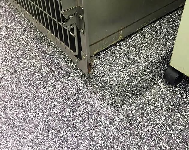 Fort-Hunt-Animal-Hospital-Epoxy-Coatings-5-630x500