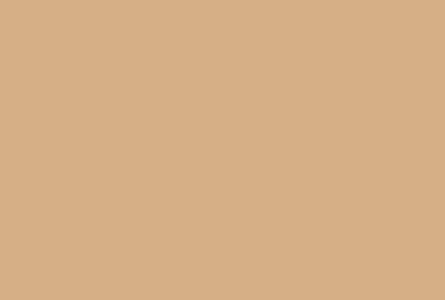Tan solid color epoxy by STRONGHOLD FLOORS