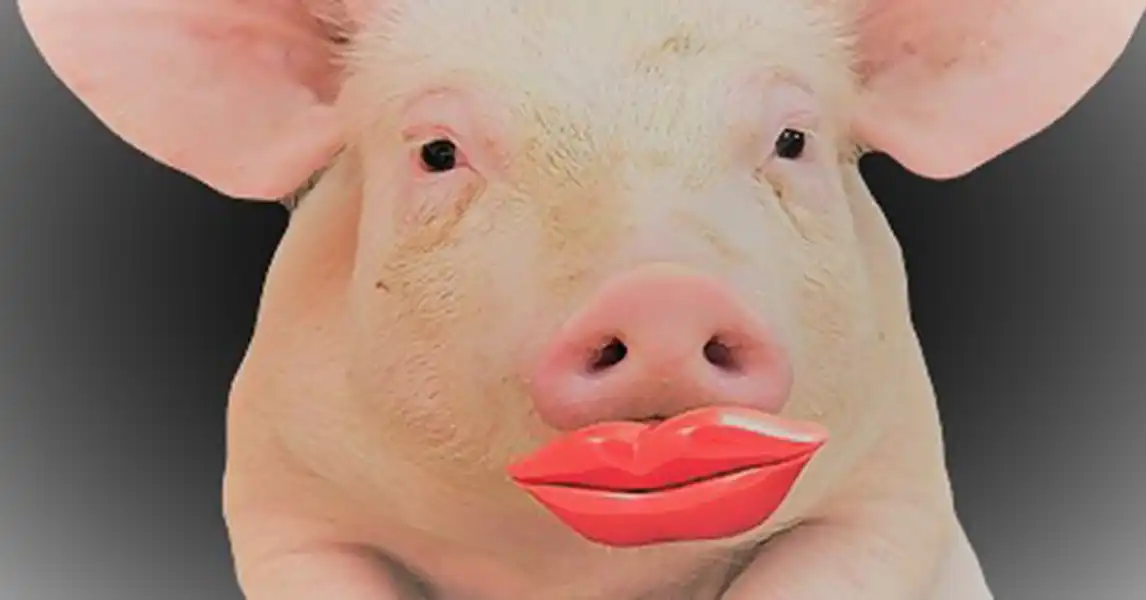 garage coatings - not just lipstick on a pig