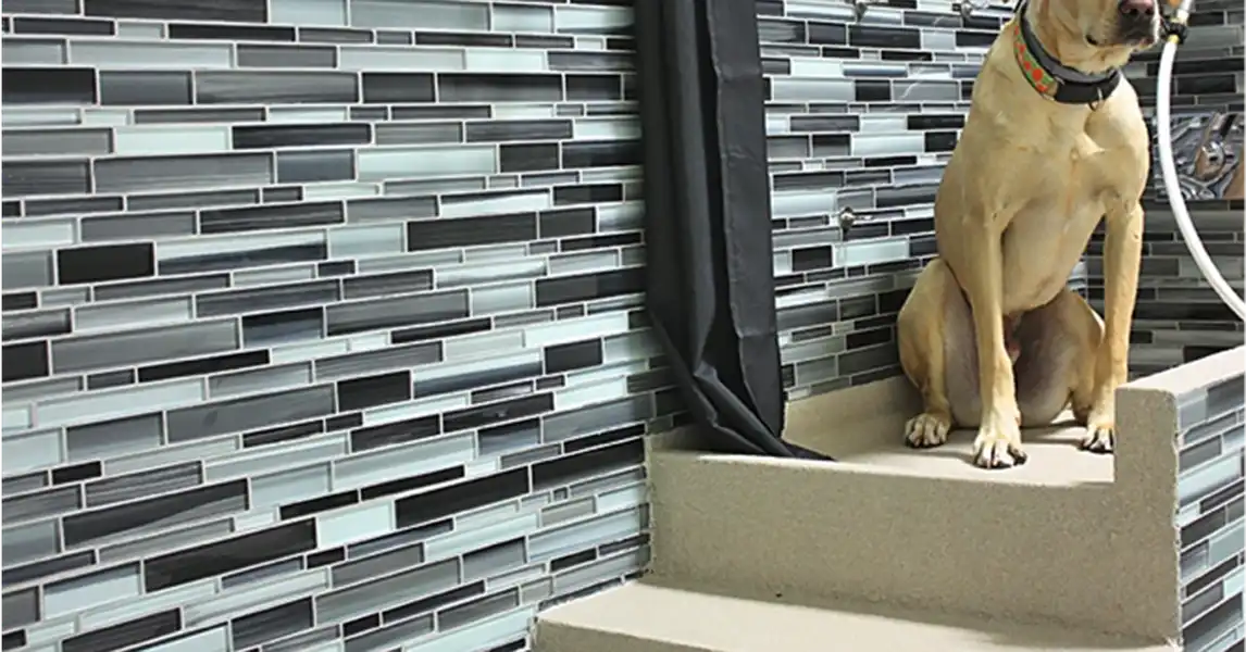 We installed our floor coatings at Maryland's Stay Pet Resort