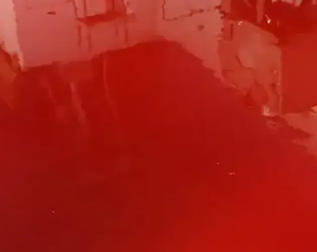 Solid color epoxy floor coatings by STRONGHOLD FLOORS