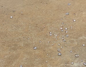 Siloxane sealer repels water and salt.