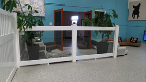 stay-pet-resort-maryland